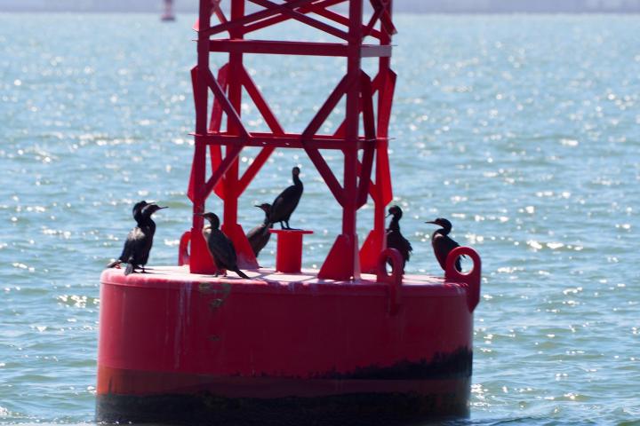 a small boat in a body of water