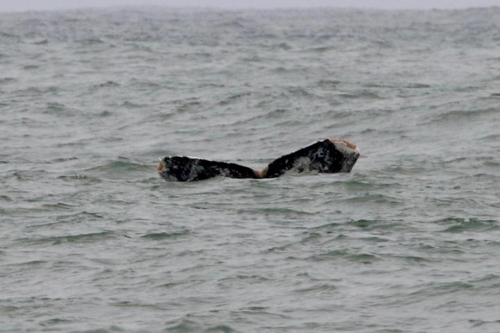 a person riding a surf board on a body of water