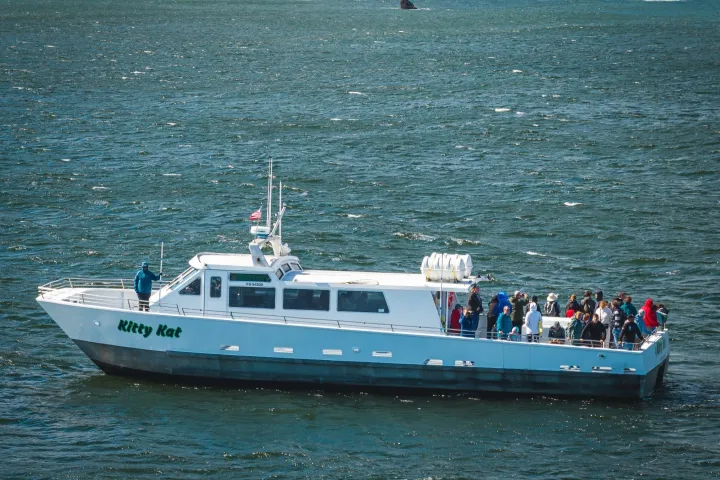 A white passenger boat named Kitty Kat on the water with people on deck.